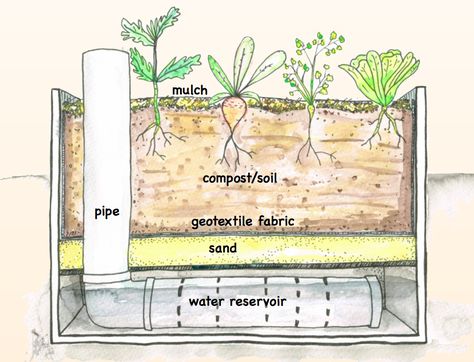 Wicking Garden Bed, Garden Watering System, Dig Gardens, Vegetable Garden Planning, Diy Raised Garden, Home Vegetable Garden, Garden Art Projects, Vegetable Garden Design, Garden Boxes