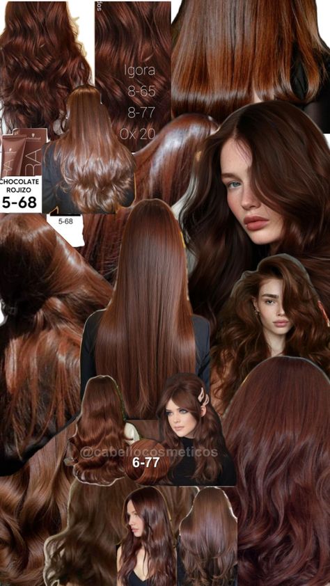 Chocolate Auburn Hair, Cinnamon Hair Colors, Copper Brown Hair, Copper Hair Dark, Light Auburn Hair, Dark Auburn Hair, Warm Brown Hair, Cinnamon Hair, Dark Chocolate Color