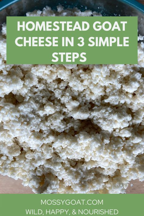 With just two ingredients and three steps, this simple but delicious goat cheese is sure to become a homestead staple. No starter culture is needed. #homestead #goatcheese #cheesemaking #homesteading #selfreliance #recipe #harvest Making Goat Cheese, Homemade Goat Cheese, Goat Butter, Make Goat Cheese, Simple Homestead, Cheese Making Process, Raw Dairy, Cheese Recipes Homemade, Canning Salt