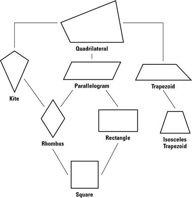 A quadrilateral is a polygon with four sides. There are seven quadrilaterals, some that are surely familiar to you, and some that may not be so familiar. Check out the following definitions and the quadrilateral family tree in the following figure. If you know what the quadrilaterals look like, their definitions should make sense and … Quadrilateral Drawing, Venn Diagram Worksheet, Perimeter And Area, Plane Figures, Teaching Geometry, Geometry Math, Spatial Reasoning, Geometry Worksheets, Math Notebook