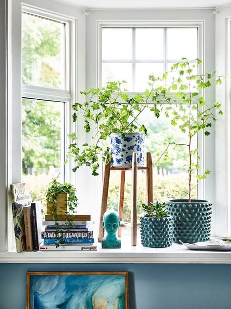 Windowsill with plants and books...and essential item for any vignette...read more on www.in-form-design.com Window Ledge Decor, Bay Window Decor, Ledge Decor, Window Sill Decor, Window Ledge, Swedish House, Room With Plants, Elle Decor, Bay Window