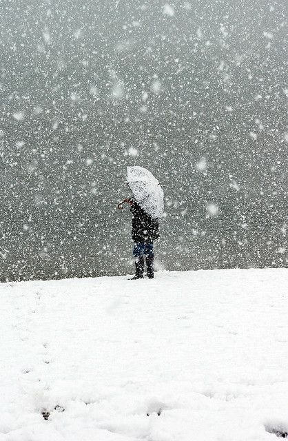 Walking In A Winter Wonderland, I Love Snow, Snow Fall, Winter's Tale, Love Winter, Winter Love, Snow Ice, Winter Scenery, Winter Magic