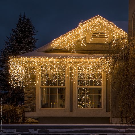 Outdoor holiday planters