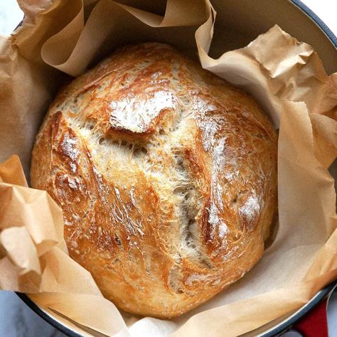 Foodtasia Homemade Bread Recipe, Oven Bread, Sourdough Recipe, Dutch Oven Bread, Knead Bread Recipe, Artisan Bread Recipes, Yeast Bread Recipes, Knead Bread, Recipe Dessert