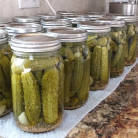 Canning Pickles Recipe, Homemade Pickles Dill, Dill Pickle Recipe, Canning 101, Pickles Recipe, Canning Pickles, Pickle Recipes, Canning Vegetables, Home Canning Recipes