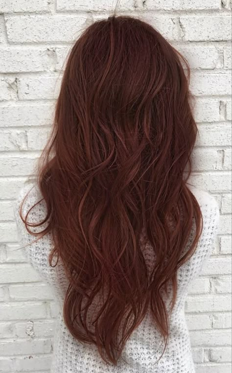 Reddish Brown Chestnut Hair, Chestnut Red Hair Color Reddish Brown, Chestnut Red Brown Hair, Redbrownhair Color, Amber Hair Color Brown, Dark Natural Red Hair, Dark Brown Ginger Hair, Dark Amber Hair, Redish Brownish Hair