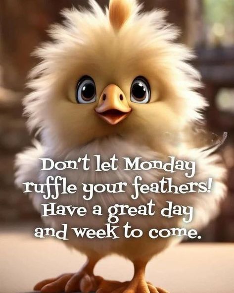 Another Monday another week! Have a great day everyone 🧡🧡 Monday Morning Quotes Funny, Good Night Monday, Monday Morning Greetings, Happy Monday Images, Good Morning Animals, Happy Monday Quotes, Monday Morning Quotes, Good Morning Happy Monday, Funny Day Quotes