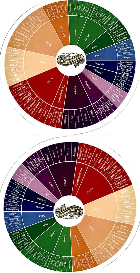 Lebermuth fragrance wheel. Forth Ray, Fragrance Wheel, Solid Perfume Recipes, Zen Candles, Candle Blends, Essential Oil Perfumes Recipes, Fragrance Lab, Quick Silver, Diluting Essential Oils