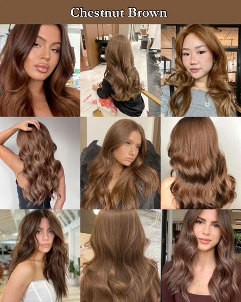 Chestnut Brown Hair Inspiration Chestnut Hair Color Light, Types Of Brown Hair Dye, Different Types Of Brown Hair Color, Sepia Hair Color, Light Brown Chestnut Hair, Chestnut Brown Hair Pale Skin, Hair Colour Tan Skin, Soft Chestnut Brown Hair, Type Of Brown Hair Shades