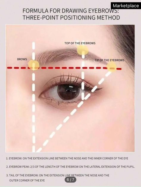 Eyebrow Painting, Eye Makeup Stencil, Eyebrow Template, Makeup Stencils, How To Draw Eyebrows, Lash Tools, Eyebrow Stencil, Brow Lash, Eyebrow Shape