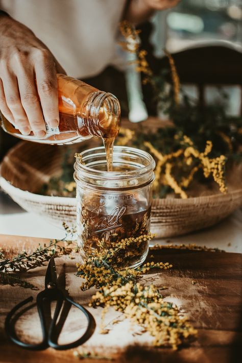 Mastering Herbal Formulation Course: Learn How to Combine Herbs! Herbalism For Beginners, Ava Green, Herbal Garden, Herbal Academy, Natural Medicine Cabinet, Magia Das Ervas, Herbal Plants, Herbal Recipes, Herbal Apothecary