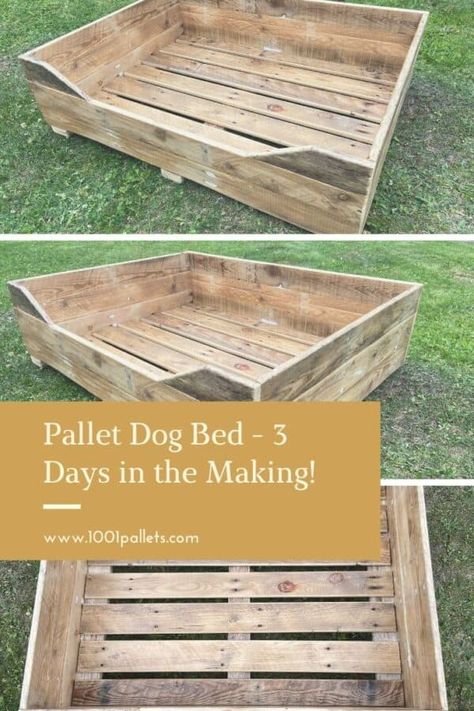 Pallet Dog Bed, Dog Beds Homemade, Dog Bed Frame, Big Dog Beds, Wood Dog Bed, Pallet Dog Beds, Dog Corner, Outdoor Dog Bed, 1001 Pallets