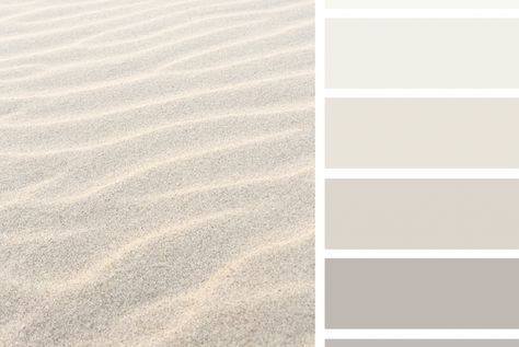 Soul Colors, Gold Office, White Windows, Mood And Tone, Design Seeds, Latest Colour, Sand Color, Colour Palettes, White Sand Beach