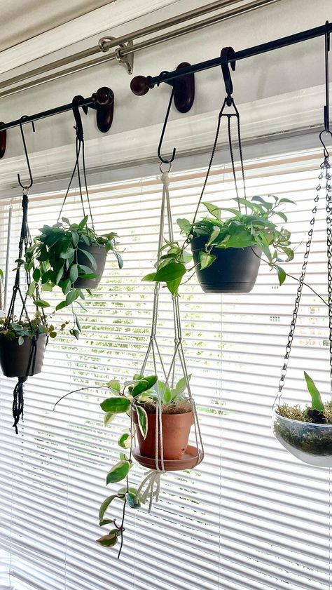 Hanging Plant Curtain Rod, Renter Friendly Ways To Hang Plants, Ways To Hang Plants Indoors, Window Hanging Plants, Plant Hanging Ideas, Wall Hanging Decorations, Wall Art Frames, Indoor Plant Wall, Plant Window