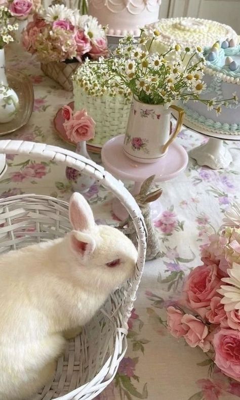 🐇Ƈ𝑢𝑡𝑒, Ƈυ∂∂ℓу🐇🌹🐇🐰 on Twitter: "https://t.co/bP8vIBa23D" / Twitter Cute Bunny Wallpaper, Bunny Wallpaper, Magical Garden, Rose Pastel, Make Friends, Spring Aesthetic, April Showers, Spring Vibes, Spring Has Sprung