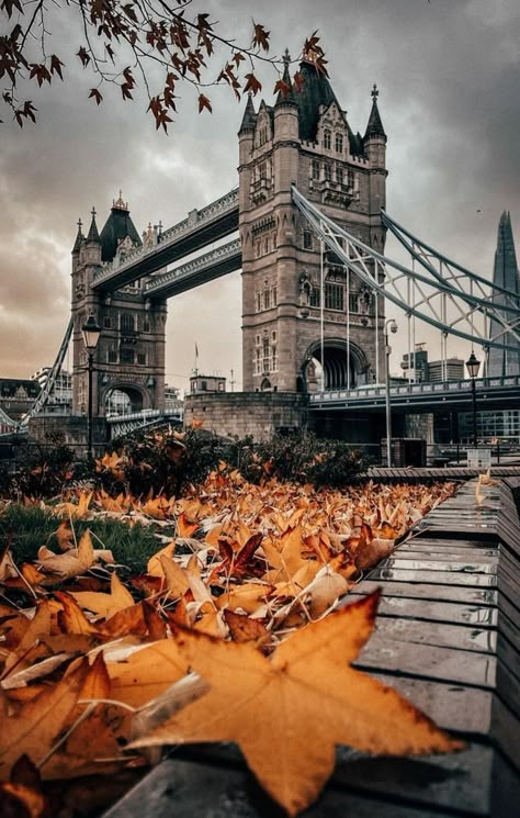 Fall In London, London Images, London Tower Bridge, London Wallpaper, London Tower, Aesthetic London, London Dreams, Pinterest Pictures, England Photography