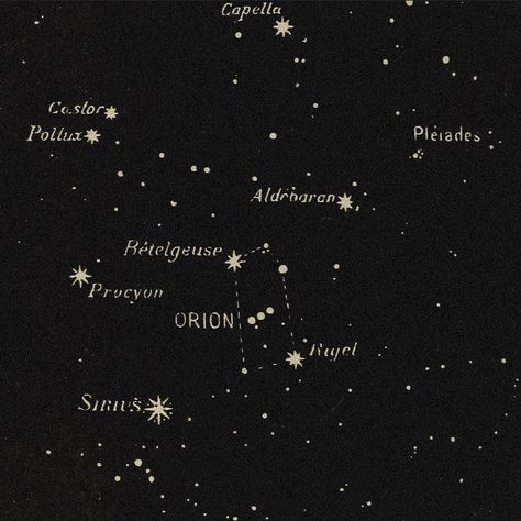 Lance Orion Zodiac, Orion Zodiac Academy, Sirius Star, Zodiac Academy, Regulus Black, All The Young Dudes, Star Constellations, Mischief Managed, Sirius Black