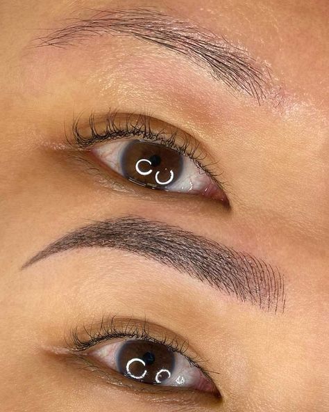 Natural Microblading Eyebrows, Microshading Eyebrows, Wax Eyebrows, Cosmetic Tattoo Eyebrows, Asian Eyebrows, Permanent Eyebrow Tattoo, Pmu Brows, Daily Eye Makeup, Grow Eyebrows Thicker