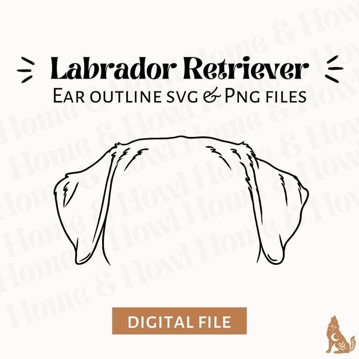 the labrador retriever ear outline svt and png files are shown in this file