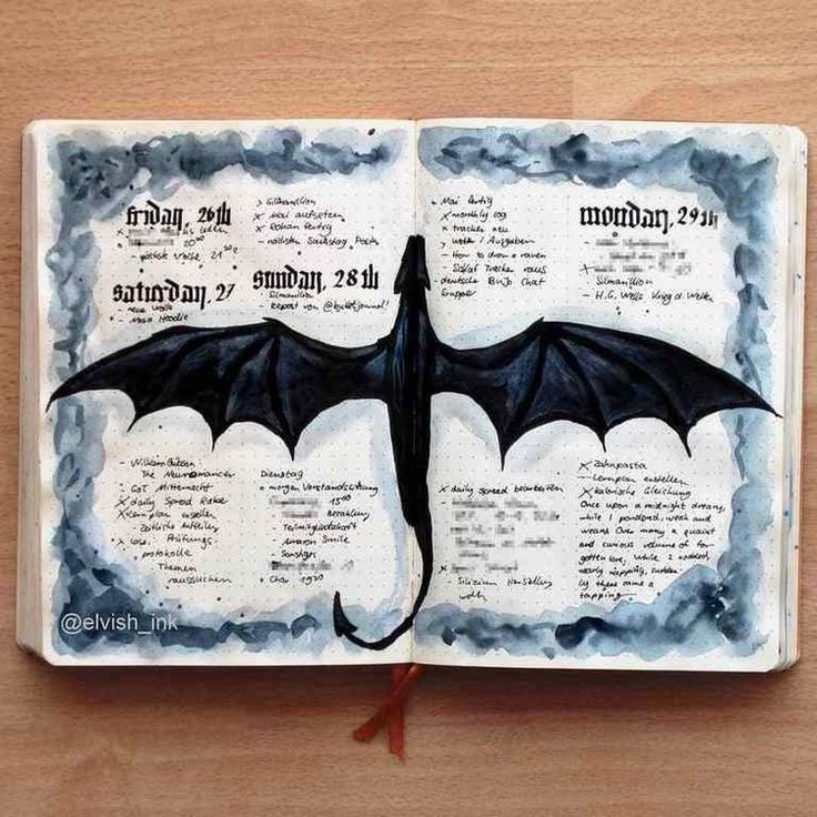 an open book with writing on it and a drawing of a bat flying in the sky