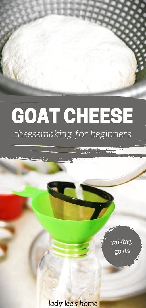 the cover of a cookbook showing how to make goat cheese bread for beginners