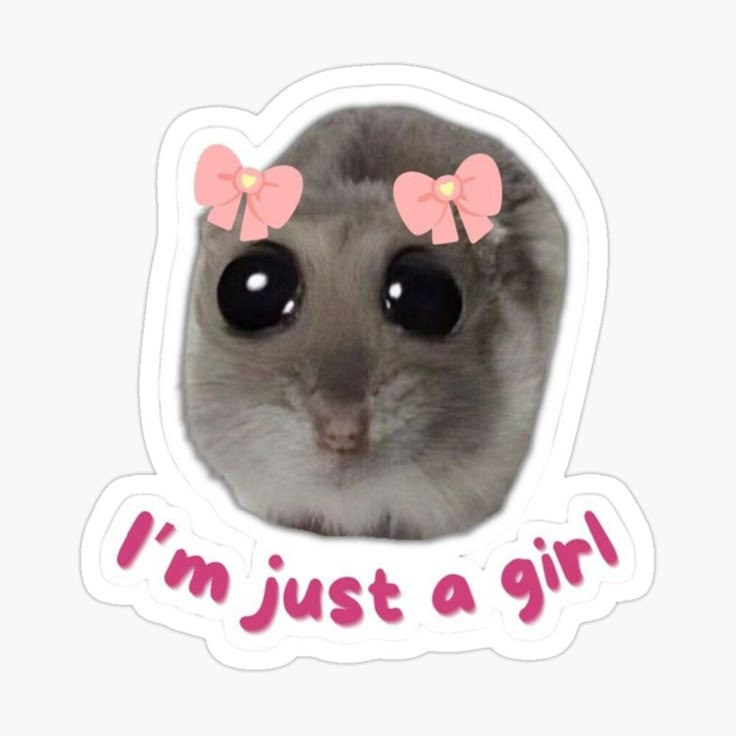 a gray hamster with pink bows and i'm just a girl sticker