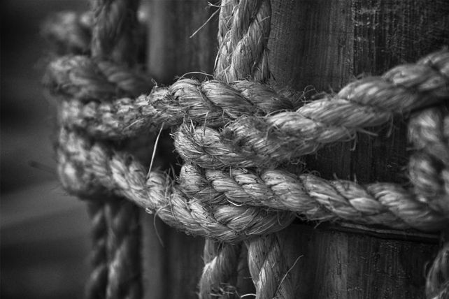 black and white photo of rope on the side of a wooden pole with knots attached to it