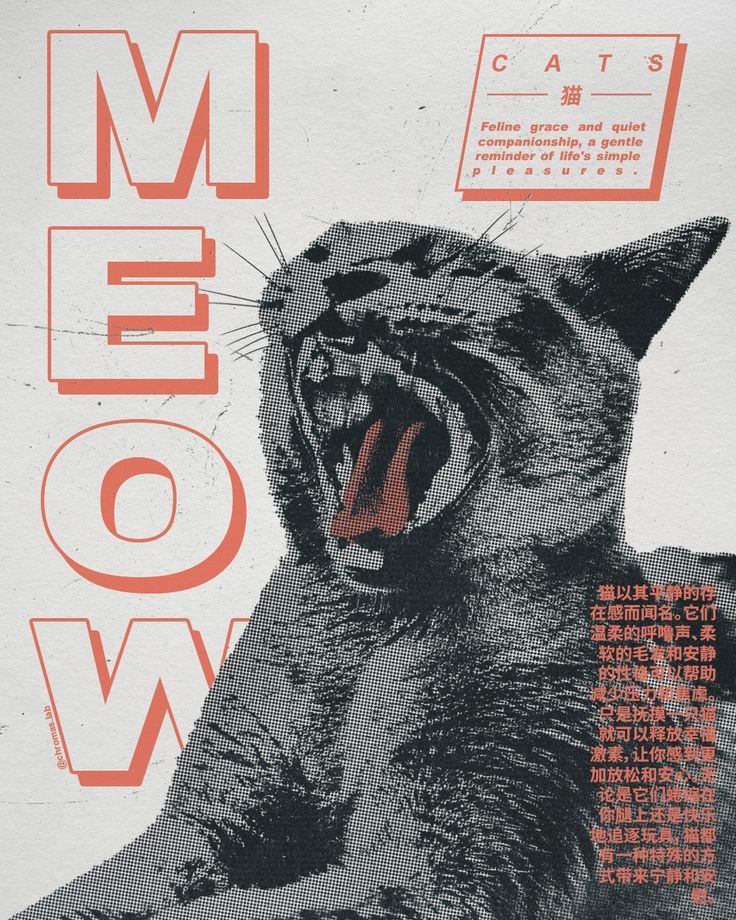 a poster with an image of a cat yawning