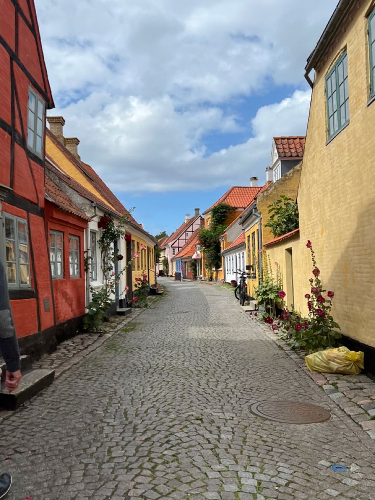 an aesthetic street in denmark with colorful houses and flowers Denmark Summer, Viborg Denmark, Travel Core, Denmark Aesthetic, Scandi Aesthetic, Denmark Vacation, Skagen Denmark, Danish Culture, Aesthetic Vacation