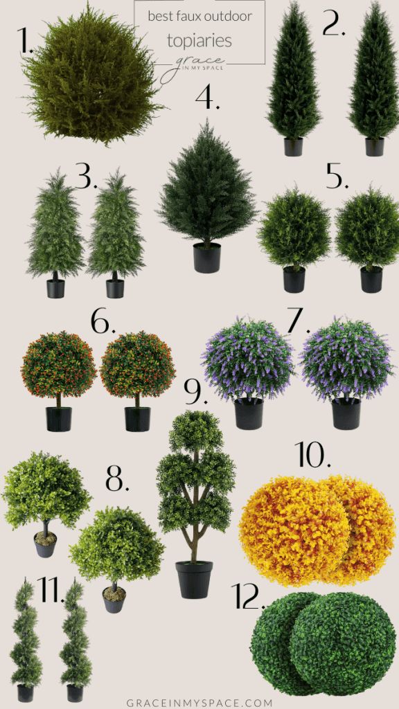 different types of trees and shrubs are shown in this graphic style, including the topiaryes