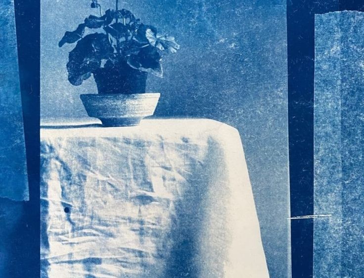 a potted plant sitting on top of a table next to a blue wall and window