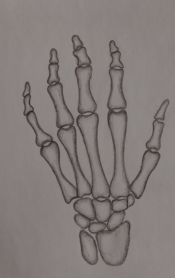 a drawing of the bones of a hand