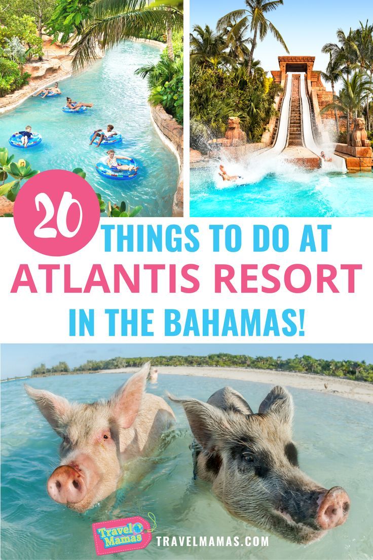 10 Things to Do at Atlantis Resort in The Bahamas! Bahamas Family Vacation, Atlantis Resort Bahamas, Bahamas Honeymoon, Bahamas Resorts, Atlantis Resort, Paradise Island Bahamas, Atlantis Bahamas, Bahamas Travel, Bahamas Vacation