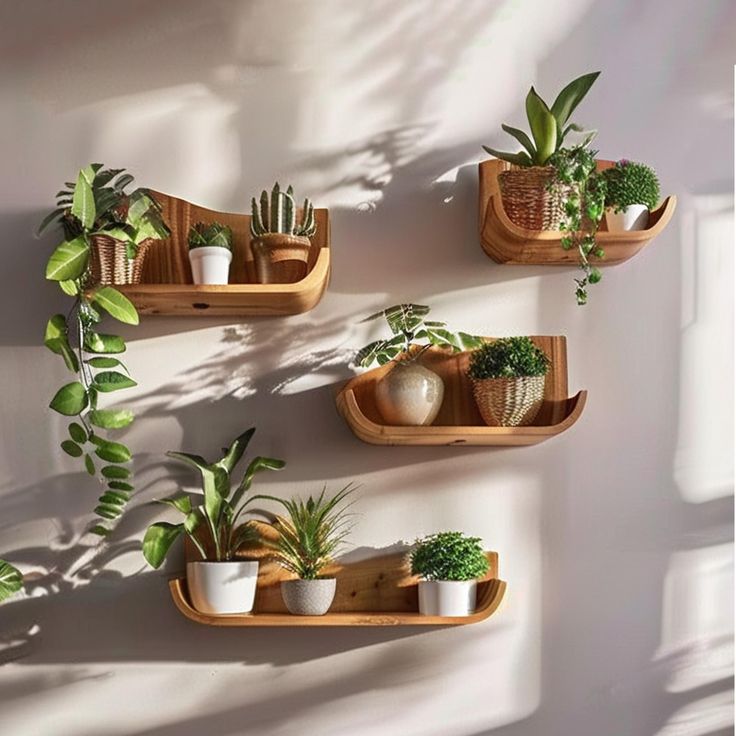 three wooden shelves with plants and potted plants on them, against a white wall