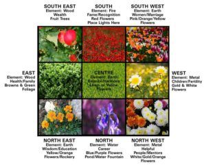 an image of different flowers and plants with their names in the middle one is labeled