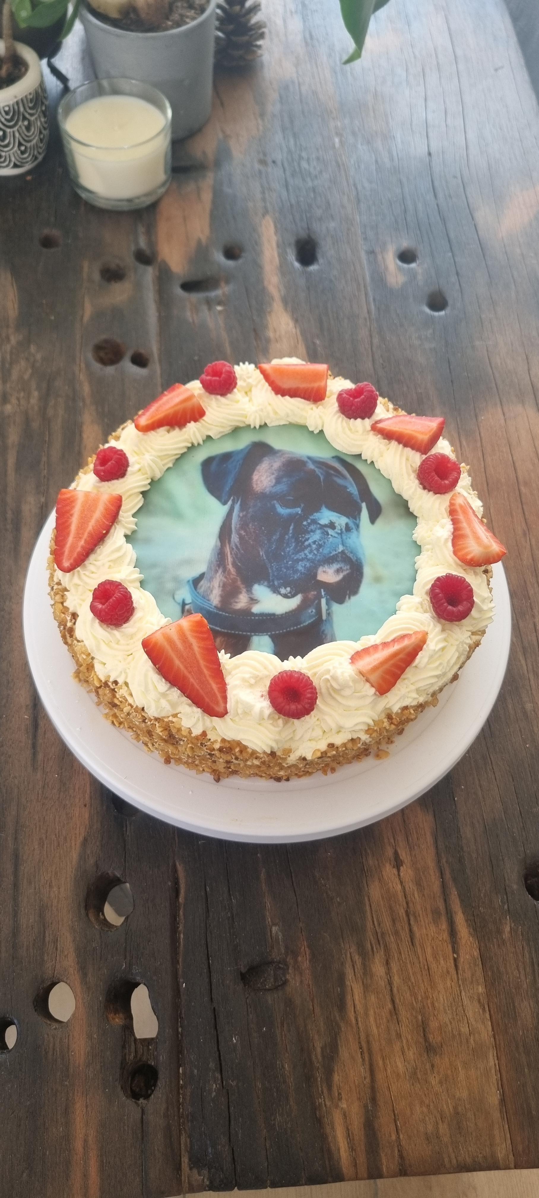 r/Boxer - Glorious Birthday cake