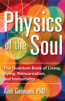 Physics of the Soul: The Quantum Book of Living, Dying, Reincarnation and Immortality