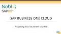 Video for SAP Business One Cloud