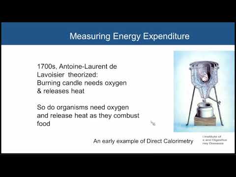 Does energy expenditure mediate weight change?