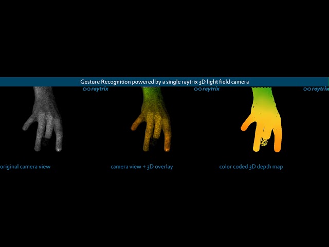 3D Light-Field Gesture Recognition