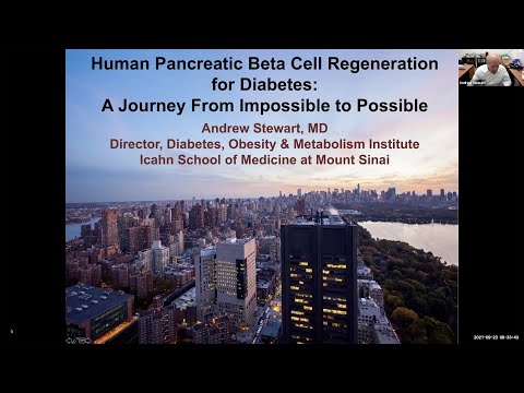 Human Pancreatic Beta Cell Regeneration for Diabetes: A Journey from Impossible to Possible