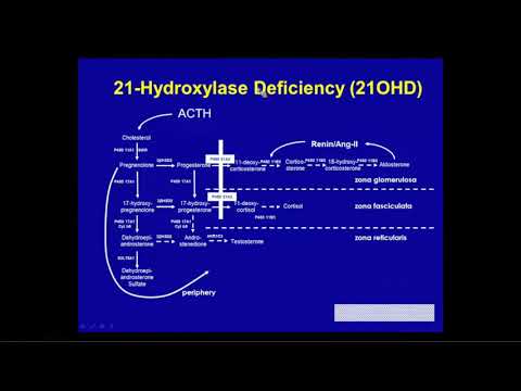 The Past, Present and Future of Congenital Adrenal Hyperplasia