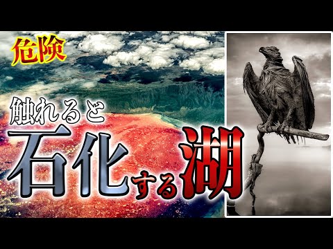 【恐怖】動物を石化させる「ナトロン湖」人間が落ちたら？