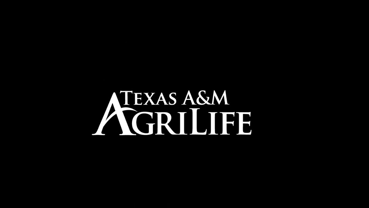 Texas A&M AgriLife - Reaching Every Texan