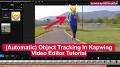 Video for Video object tracking online