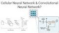 A Cellular Neural Network for Deformable Object Modelling. from www.youtube.com