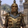 Classic Ordinator Armor