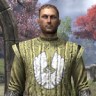 Alliance Rider Outfit (Aldmeri Dominion)