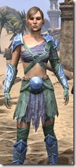 Arena Gladiator - Dyed Close Front