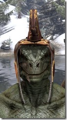 Dwarven Crested Hood Argonian Front